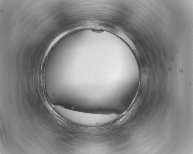 X0000060261004200511112016