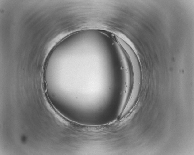 X0000060261005200511112016