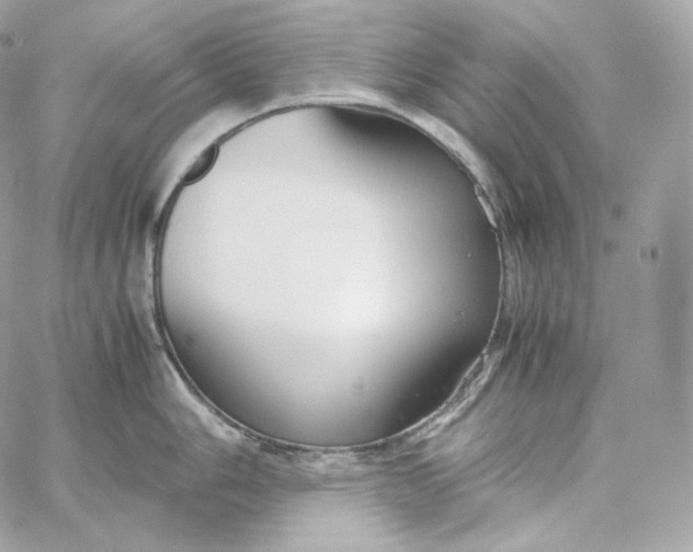 X0000060261006200511112016