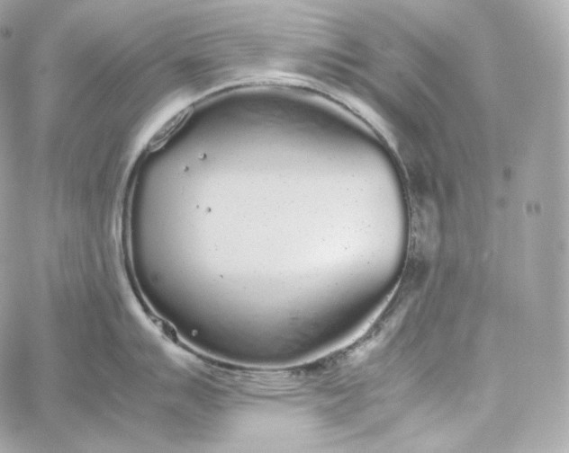 X0000060261007200511112016