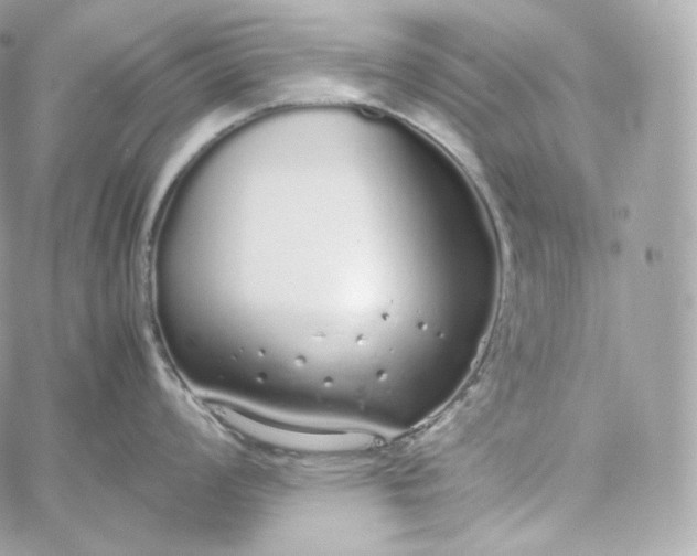 X0000060261008200511112016