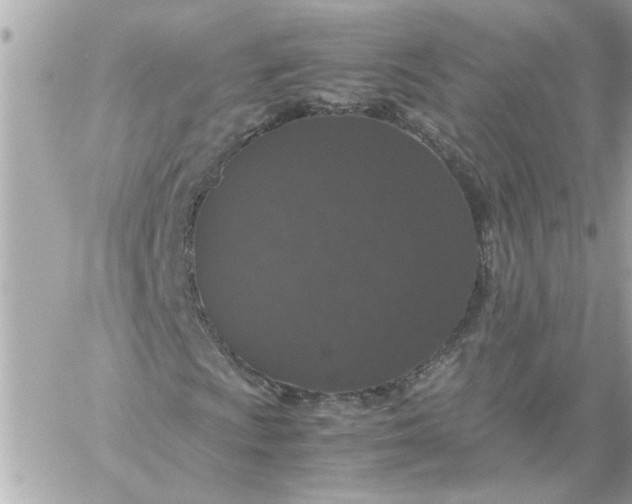 X0000060261009200511112015