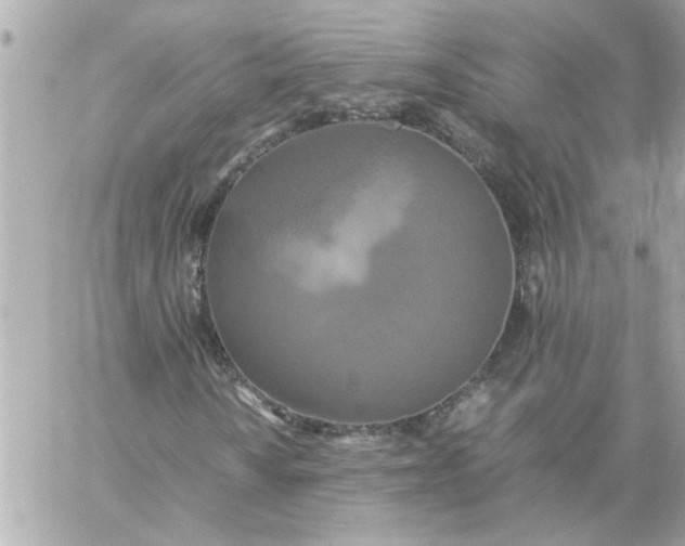 X0000060261010200511112015