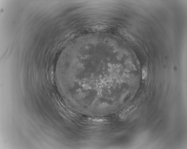 X0000060261011200511112015