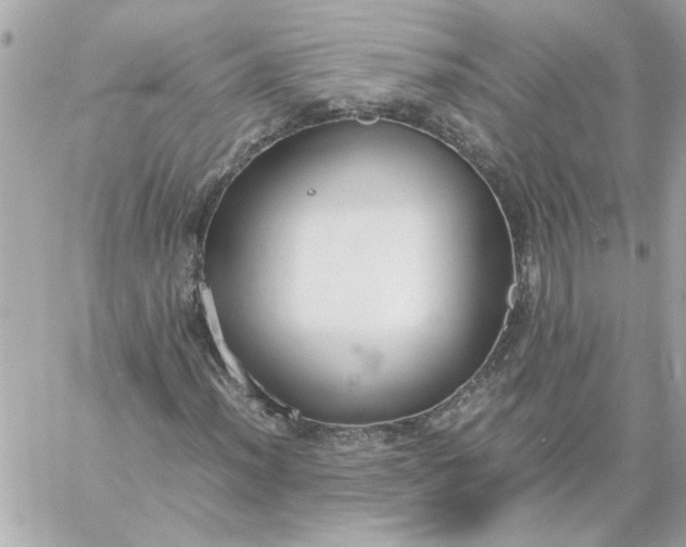 X0000060261012200511112015