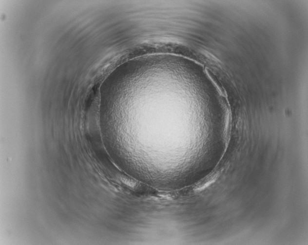 X0000060261014200511112015