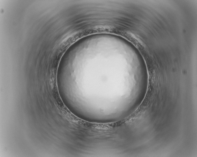 X0000060261015200511112015