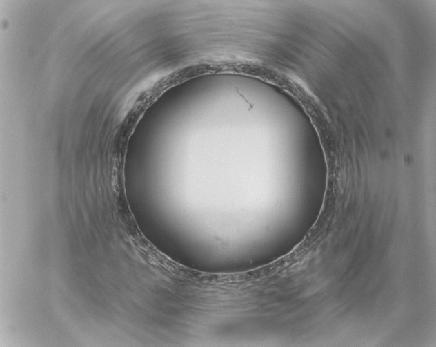 X0000060261016200511112015