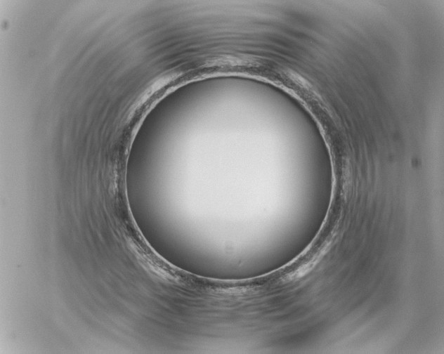 X0000060261017200511112015