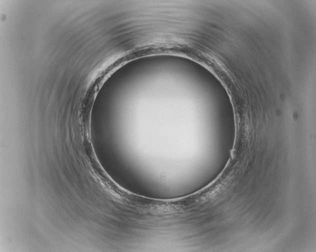 X0000060261018200511112015