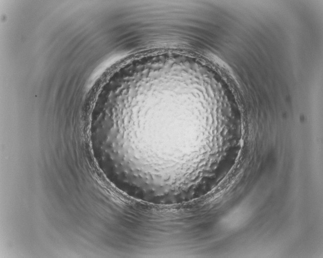 X0000060261019200511112015