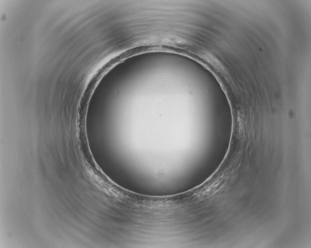 X0000060261020200511112015