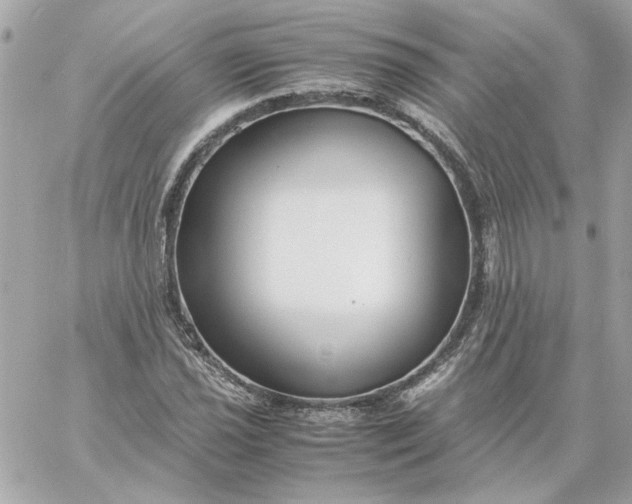 X0000060261021200511112015