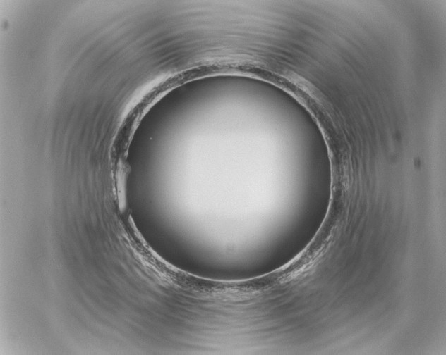 X0000060261022200511112015