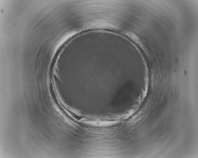 X0000060261024200511112015