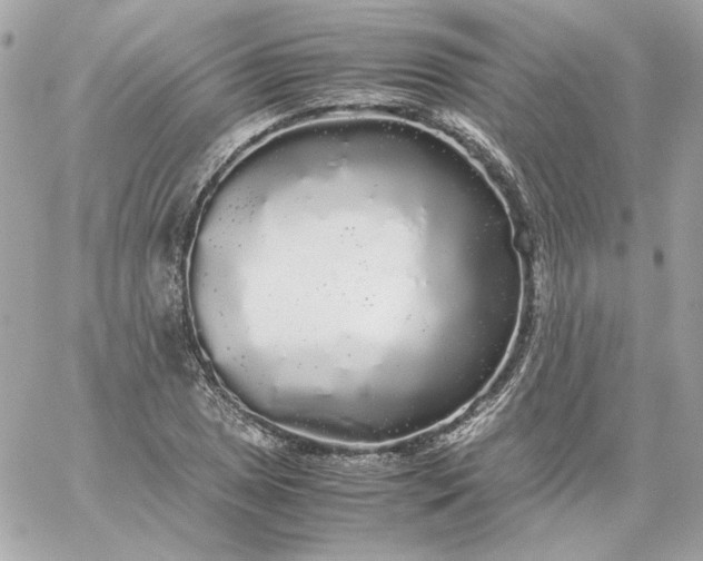 X0000060261025200511112015