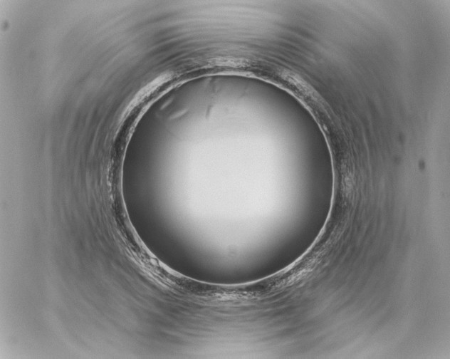 X0000060261026200511112016