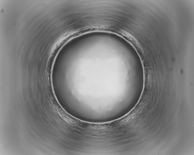 X0000060261027200511112016