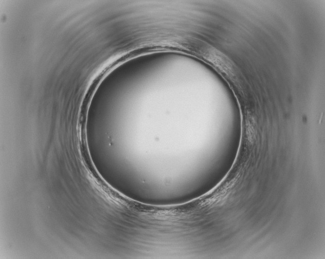 X0000060261028200511112016