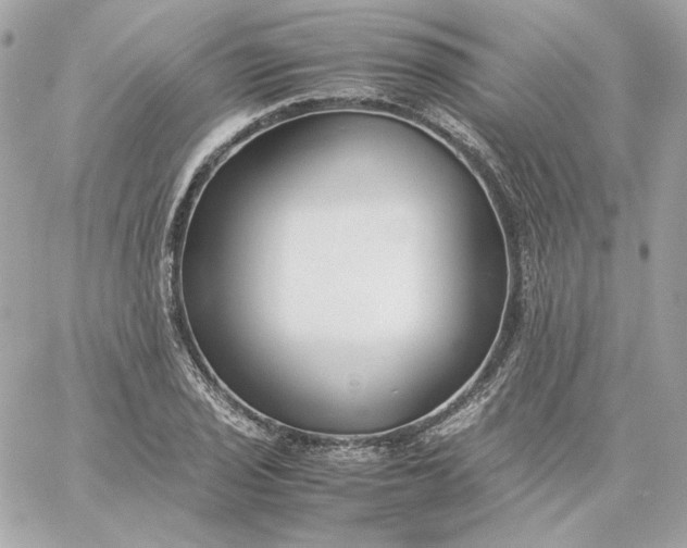 X0000060261029200511112016