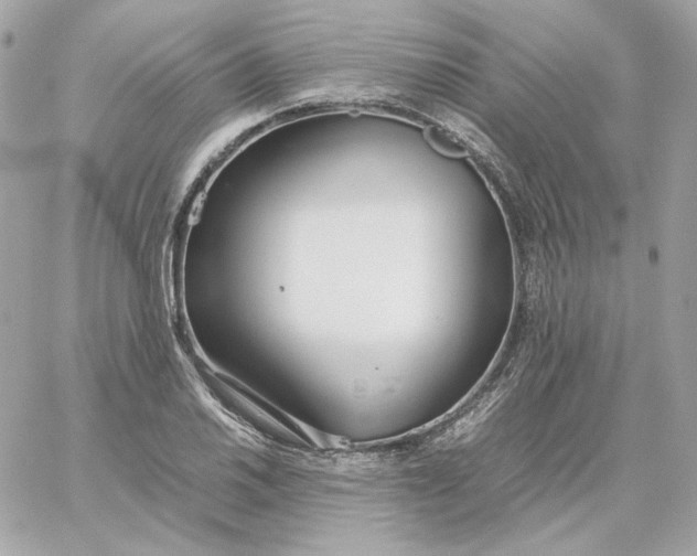 X0000060261030200511112016