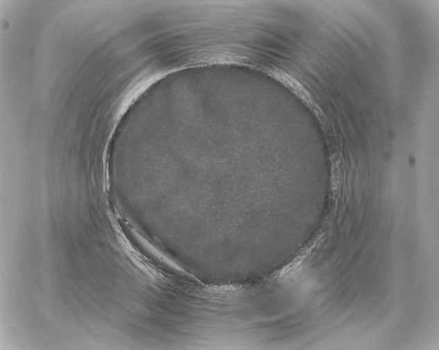 X0000060261031200511112016