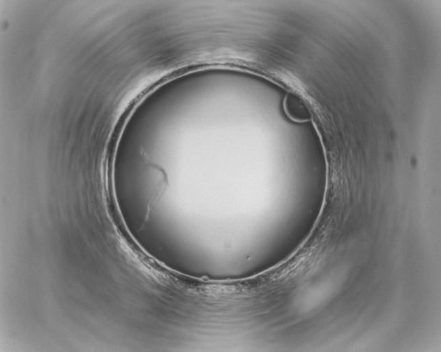 X0000060261032200511112016