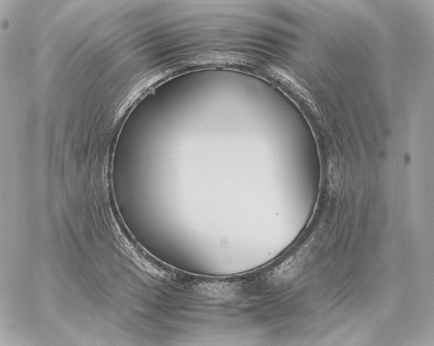 X0000060261033200511112016