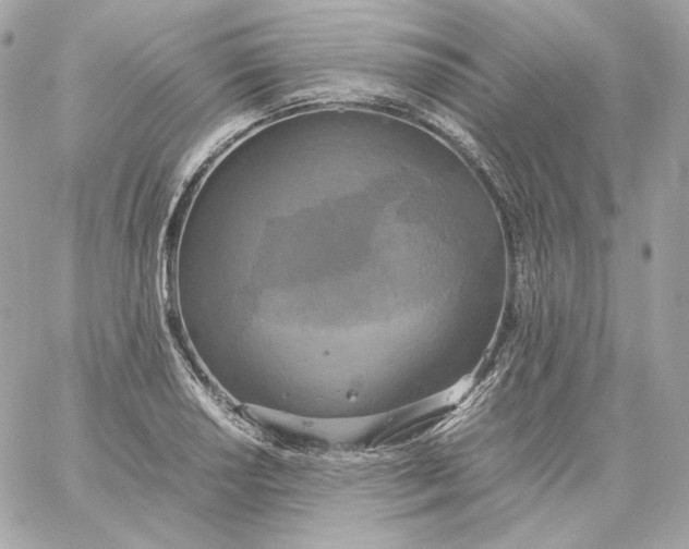 X0000060261034200511112016