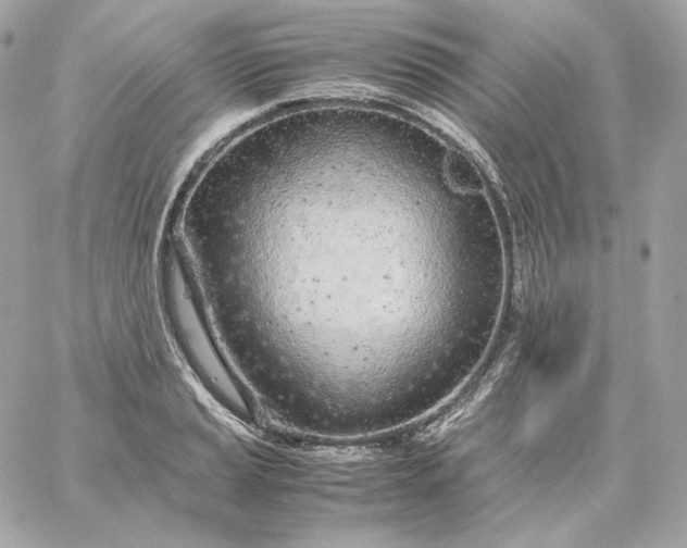 X0000060261037200511112016