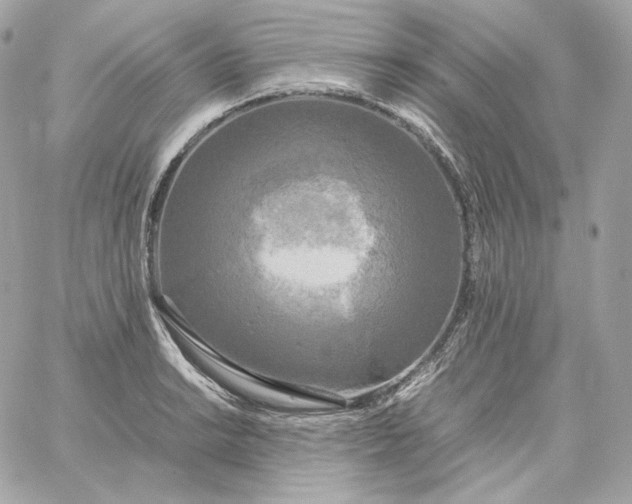 X0000060261038200511112016