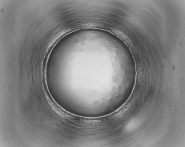 X0000060261039200511112016