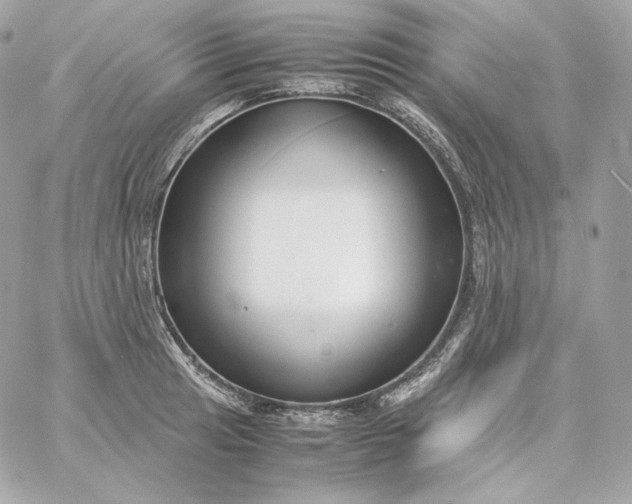 X0000060261041200511112016