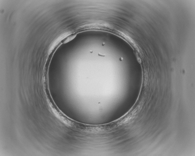 X0000060261042200511112016