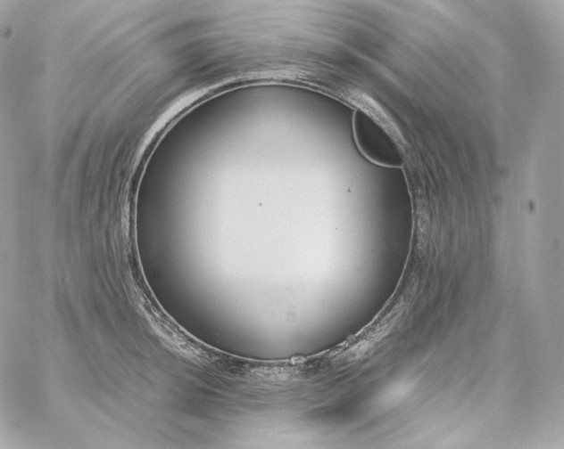 X0000060261044200511112016