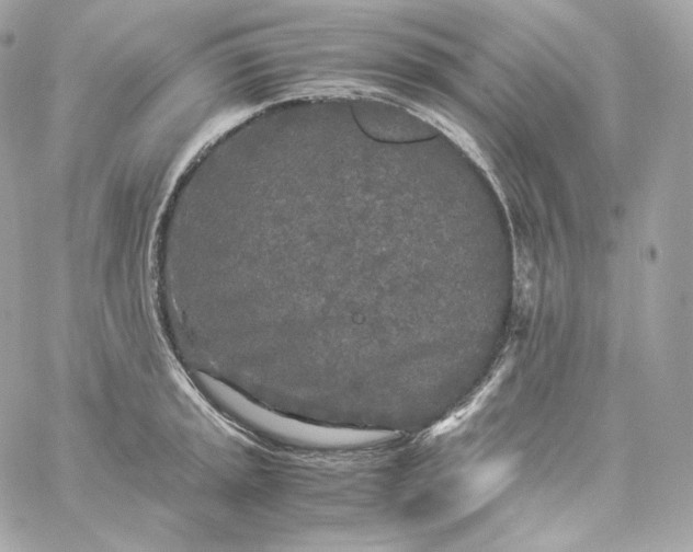 X0000060261045200511112016