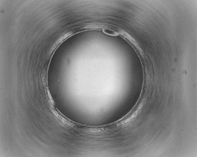 X0000060261049200511112016