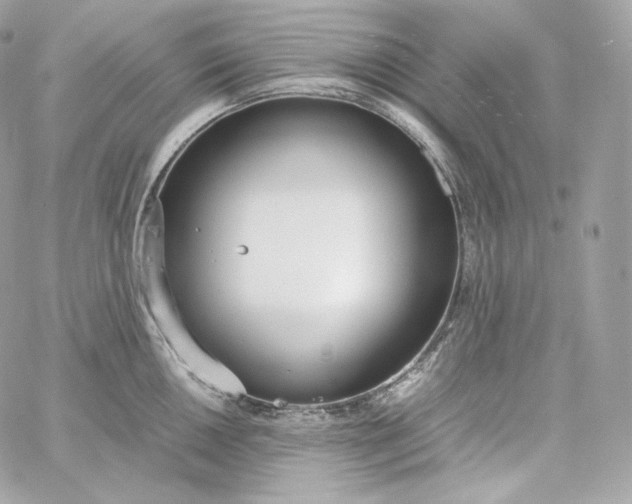 X0000060261050200511112016