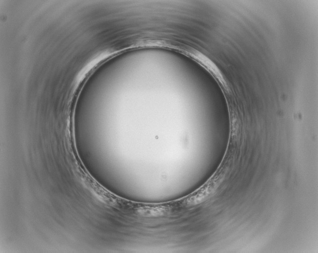 X0000060261051200511112016