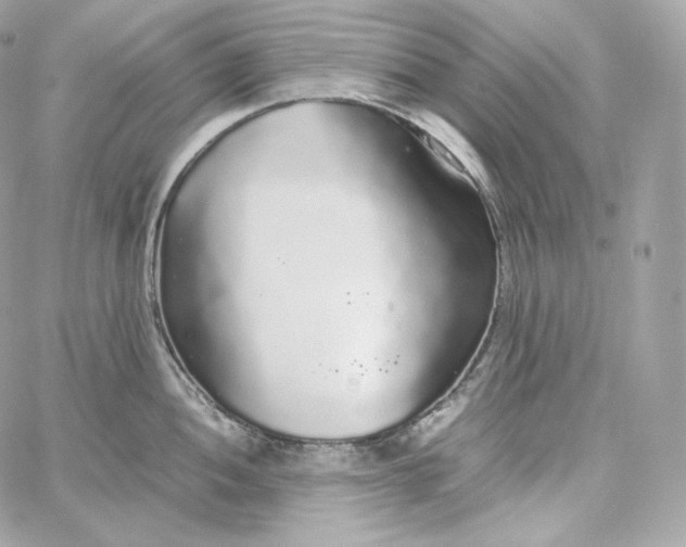 X0000060261052200511112016