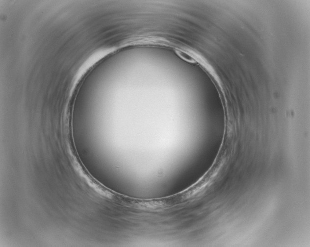 X0000060261053200511112016