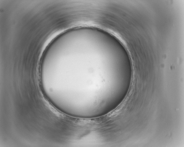 X0000060261056200511112016