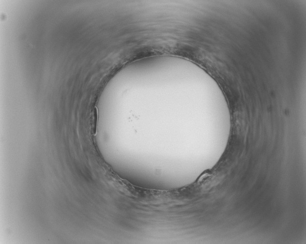 X0000060261057200511112015