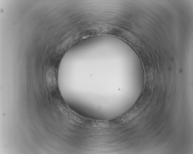 X0000060261058200511112015