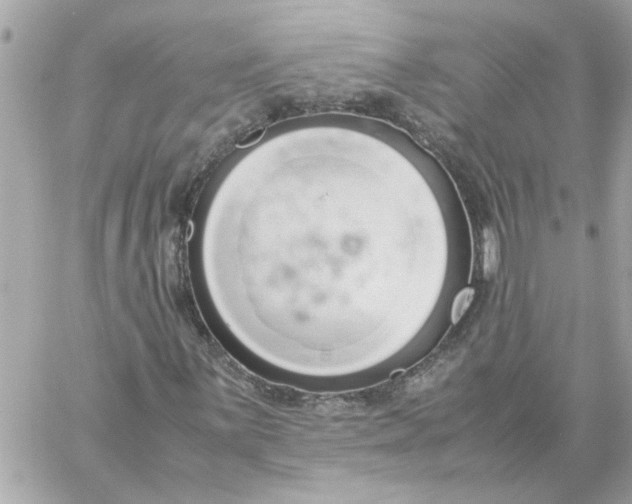 X0000060261059200511112015