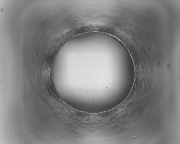 X0000060261061200511112015