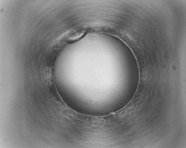 X0000060261062200511112015