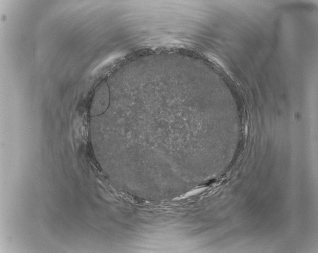 X0000060261063200511112015