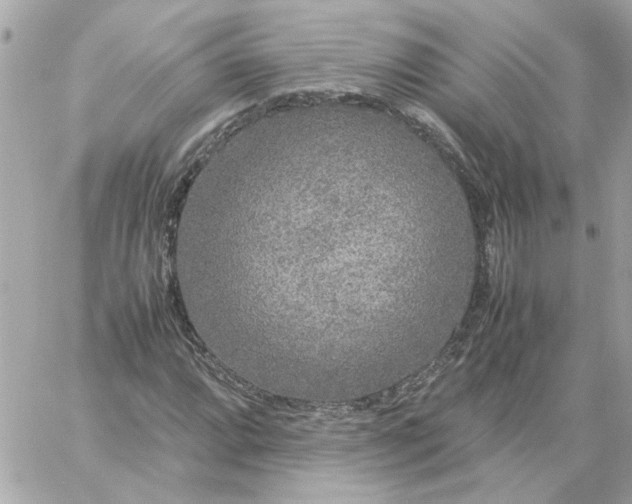 X0000060261064200511112015