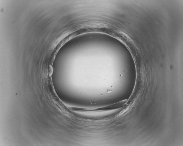 X0000060261065200511112015